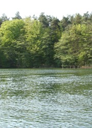 Baugeschäft Splett aus Wesenberg in Mecklenburg-Strelitz